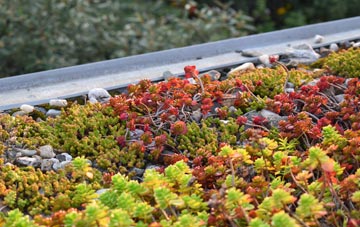 the cost of Benburb green roof installation